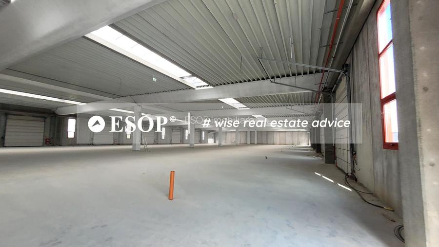 Hale industriale, parc modern, Rudeni, Chitila, Ilfov- ID 15462 - 27