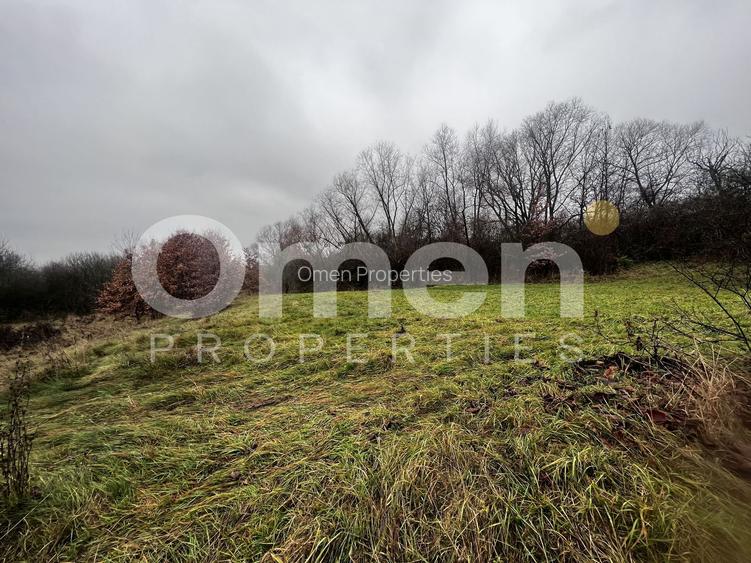 Teren intravilan | 30 ari | front stradal 50 m | investitie ideala | Mocira. - 3