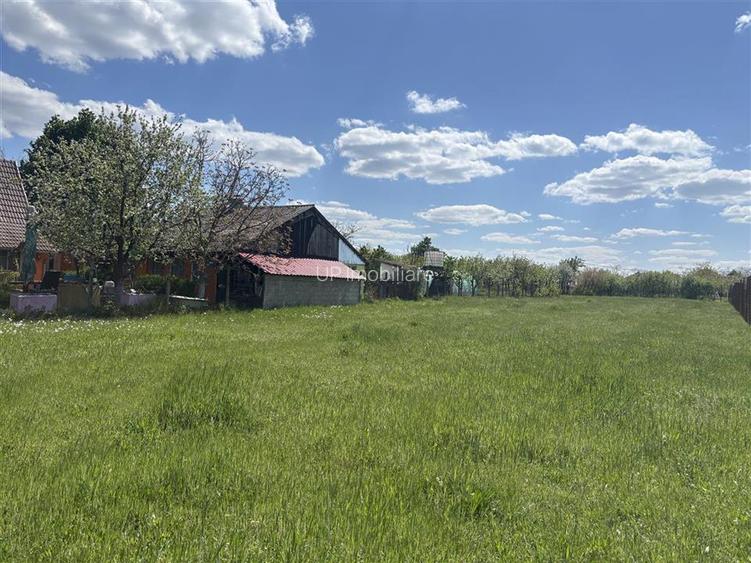 TEREN CHISIRID | 1.226 MP | TOATE UTILITATILE - 4