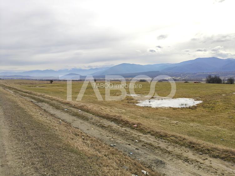 Teren intravilan 10000 mp cu acces din DN 1 - COMISION 0 - 3