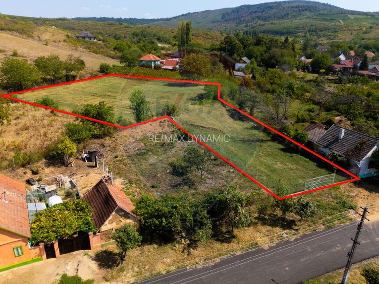 Miniș- destinația ideală pentru o resedință de lux în inima naturii. - 9