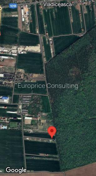 SNAGOV  TANCABESTI- STRADA MIHAI EMINESCU - 2