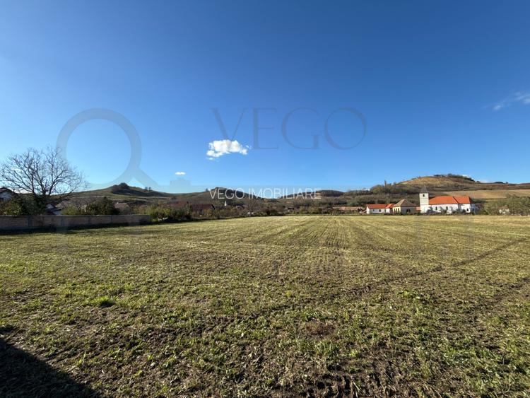 Teren intravilan de vânzare în Alma jud. Sibiu – 7.342 mp - 2