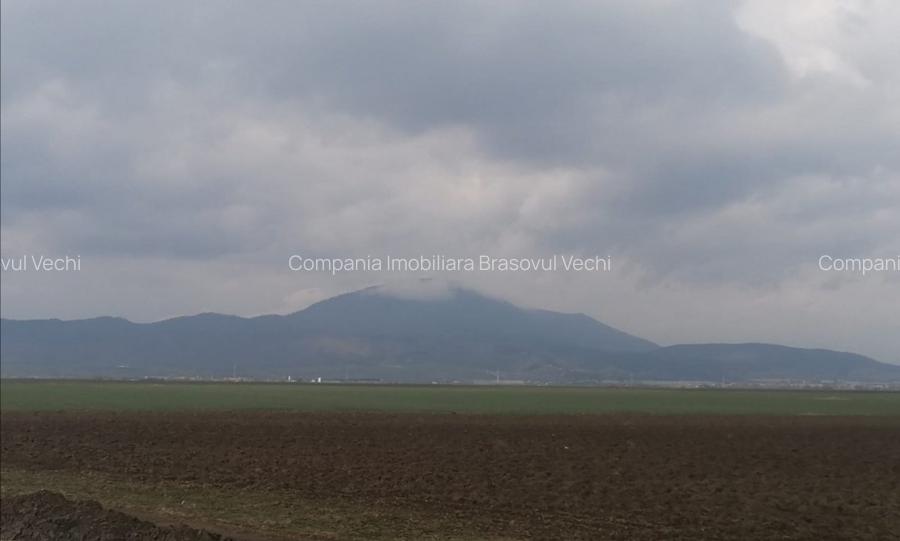 Ghimbav, teren intravilan pentru complex rezidential. - 5