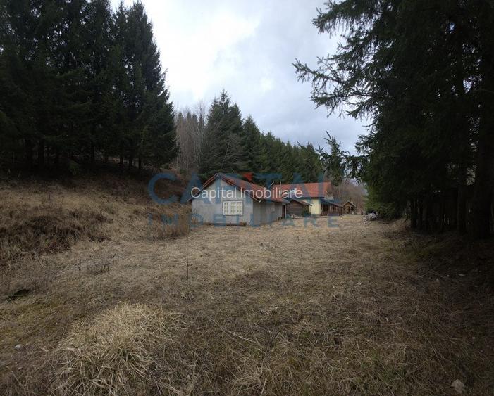 Cabana la munte Rucar / Satic - 6