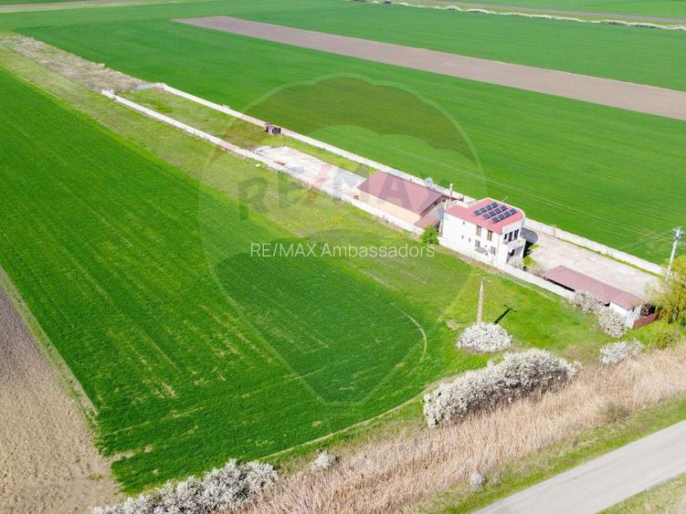 Casa + teren + hala de vanzare in Beregsau – 0% Comision - 2