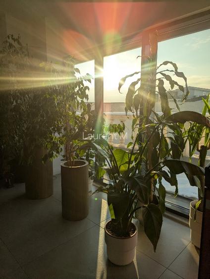 Penthouse de Lux cu 5 Camere | Expunere Sud-Vest și Panoramă spre Herăstrău  - 6