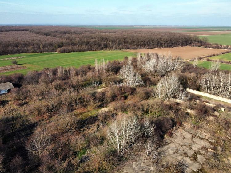 Ferma si livada de meri in judetul Ilfov - 14