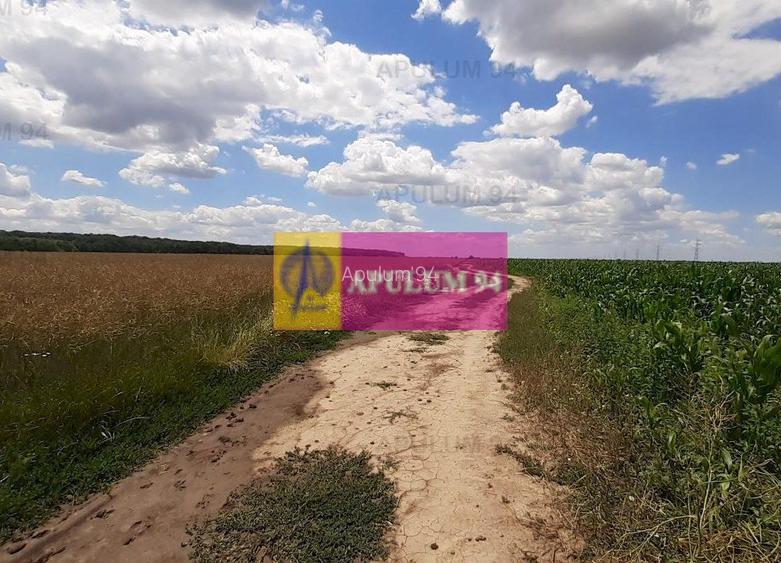 Teren 715mp în Snagov lângă Equestria - 28