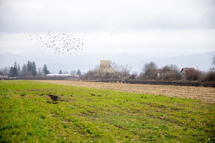 Lot de teren intravilan – 467 mp | Stupini, Strada Albinelor - 10