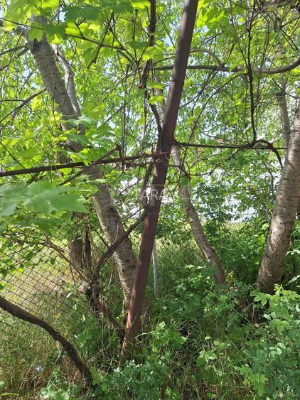 Casă cu 3 camere și teren generos, în Andrei Mureșanu - 5