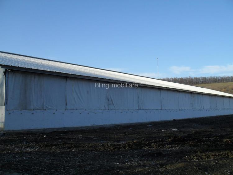 Ferma Zootehnica la standarde Europene - 7