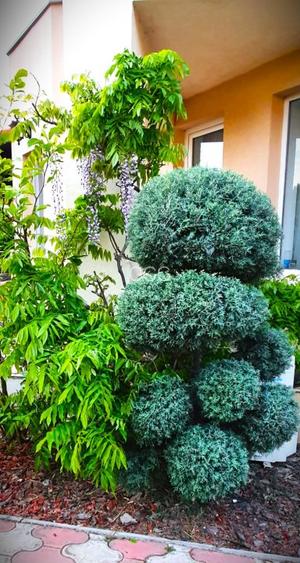 Vila Individuala La Cheie -  DIRECT PROPRIETAR  792 mp - 5