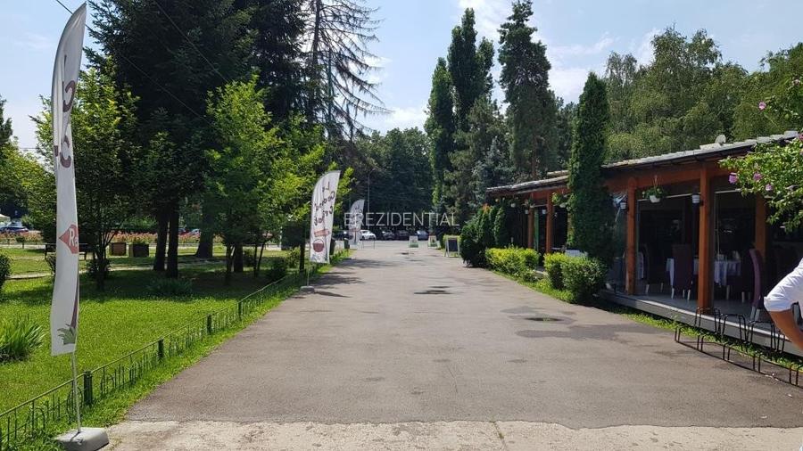 Spatiu  comercial -Parc Herastrau - 10