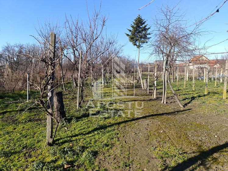 Casa individuala cu teren generos 2158mp, front 12m, livada, Freidorf - 52