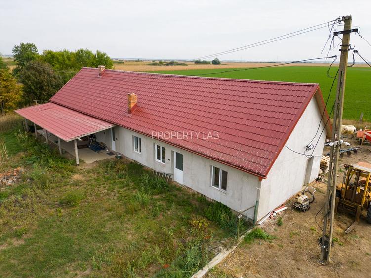 Teren intravilan cu iazuri și casă - Chișineu-Criș - 2