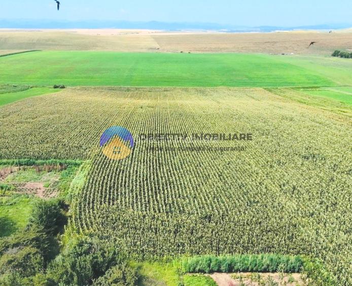 TEREN intravilan  9.126 mp - comuna STEFAN cel MARE - 4