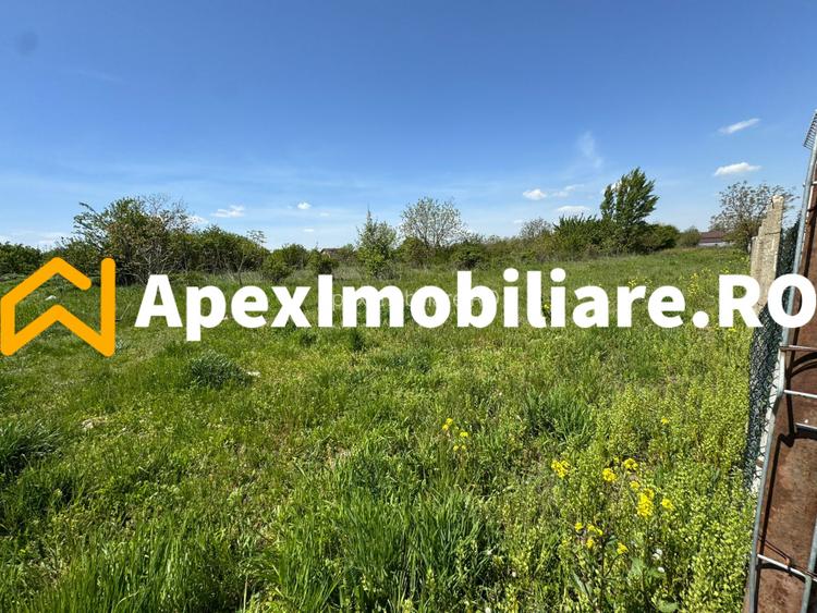 Teren intravilan de vanzare  Cornetu IF | ApexImobiliare.ro - 4