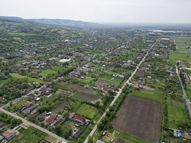 Teren Intravilan de 3,090 mp în Cuvin - 9