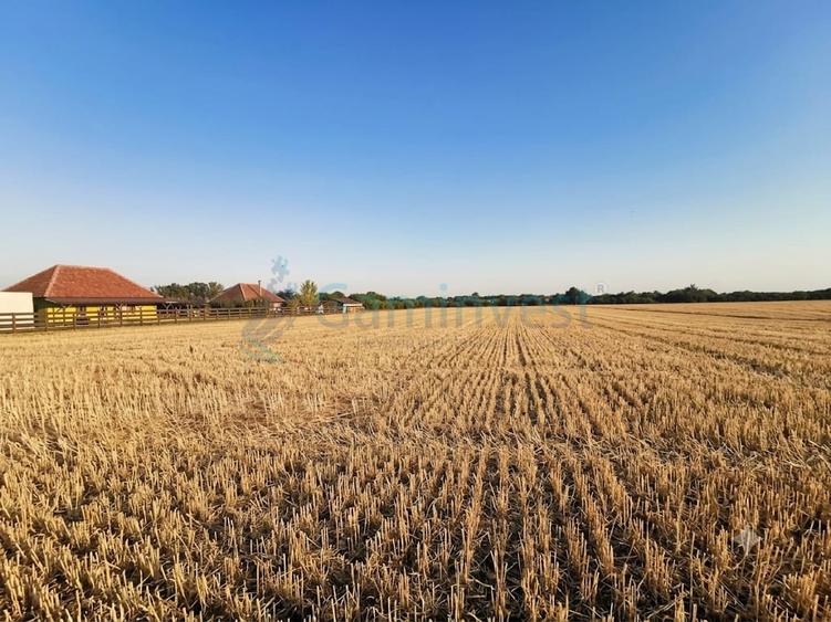 Teren intravilan de vanzare 9800 mp, Salonta, Bihor