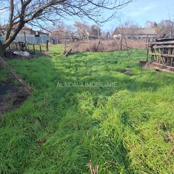 Poiana-teren 3000mp,deschidere 38m - 7