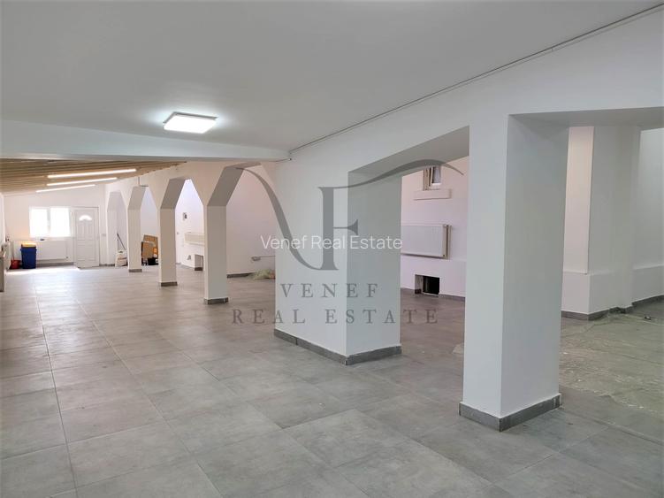 Vila 9 camere 3 grupuri sanitare 1 terasa 354 mp Vasile Lascar Stefan cel Mare - 13