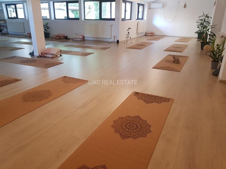 Studio sau birouri mansarda Universitate - strada Sfintilor 6 - 10