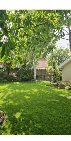 Vanzare  Vila  (5 camere) Pipera Sc Americana - 3