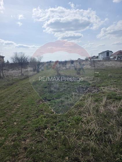 Loturi teren 500 /1000 mp Dumbraveni Balotesti utilitati - 3