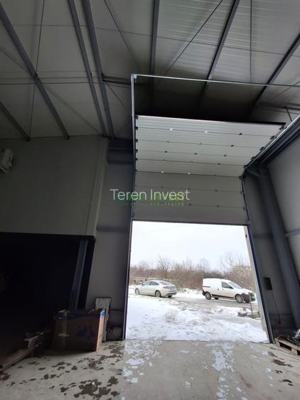 Hala depozitare -  Cernica – Theodor Pallady - 4