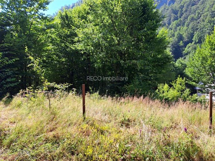 RECO Teren intravilan  Boga - 2