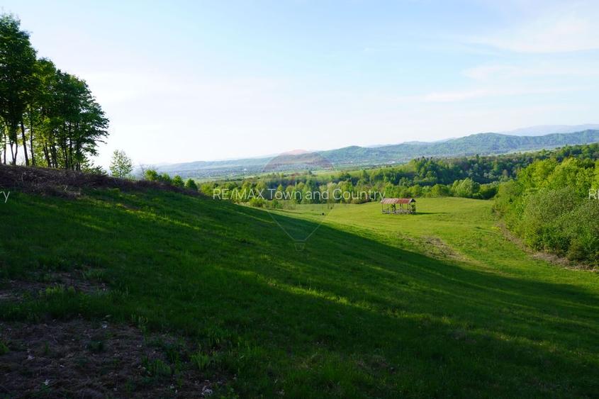 Teren 15,000mp Sighetu Marmatiei / Strada Mocăniței - 6