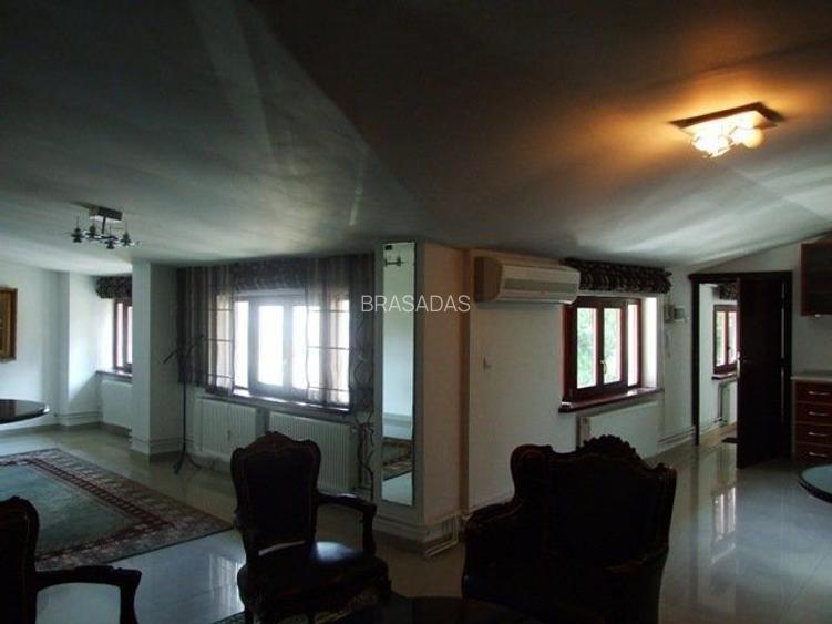 Ag BRASADAS vinde vila interbelica zona UNIRII. - 36