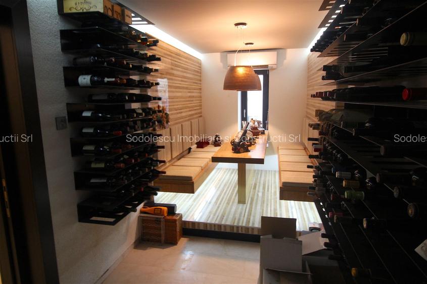 Vila deosebita Braytim - 36