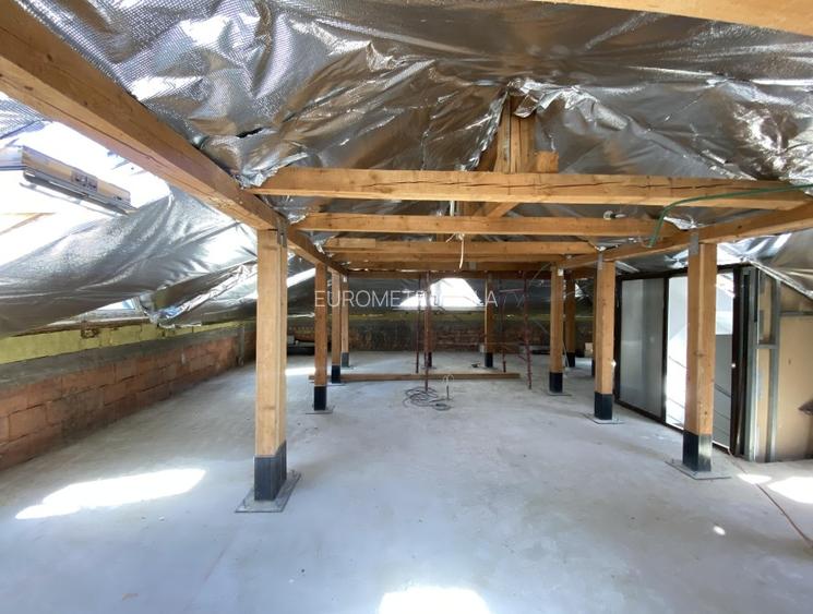 Vila S+P+E+M Herastrau - 3