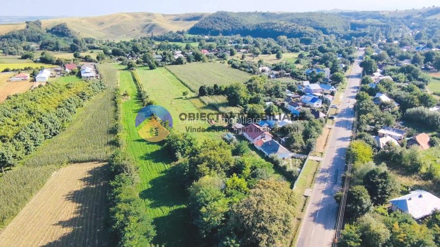 TEREN intravilan  6764 mp DRAGOMIRESTI - VAD - 4