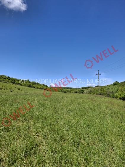 De vânzare teren intravilan de 30 000 m² (3 ha) în Reghin - 11