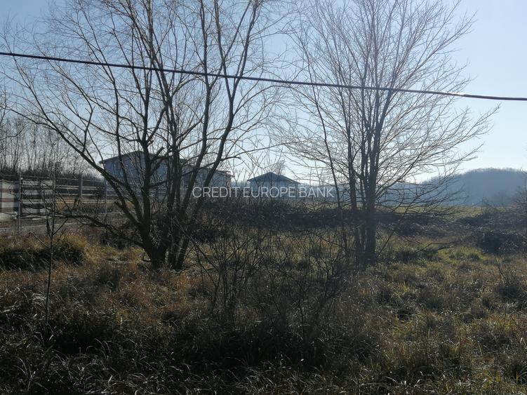 Teren intravilan Comuna Snagov , Lac Snagov - 4