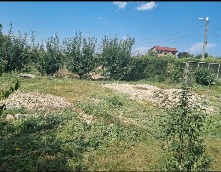 Ocazie! Teren intravilan-3417m-deschidere 54m-toate utilitatile-Poiana-Constanta - 7