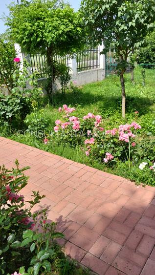 Casa P+M  5 camere + o garsoniera Jud Teleorman  la 49 km de Bucuresti - 5