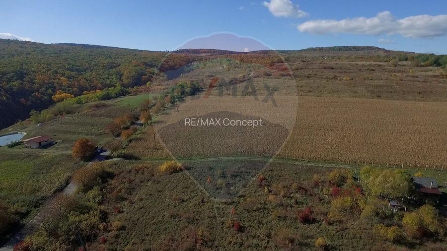 Teren Pădureni (Chinteni), intravilan, parcelabil - 10