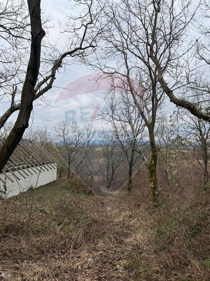 DE VANZARE Teren Strada Victoriei Baia Mare - 11