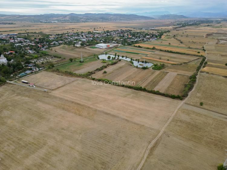 Teren intravilan 30.110 mp Filipeștii de Târg – ideal investiție / dezvoltare –  - 4