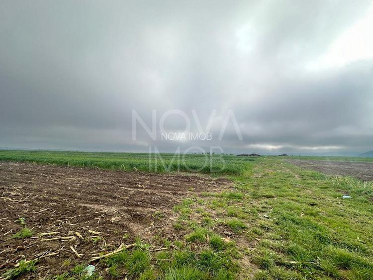 Teren extravilan de vanzare - Gura Raului - 6