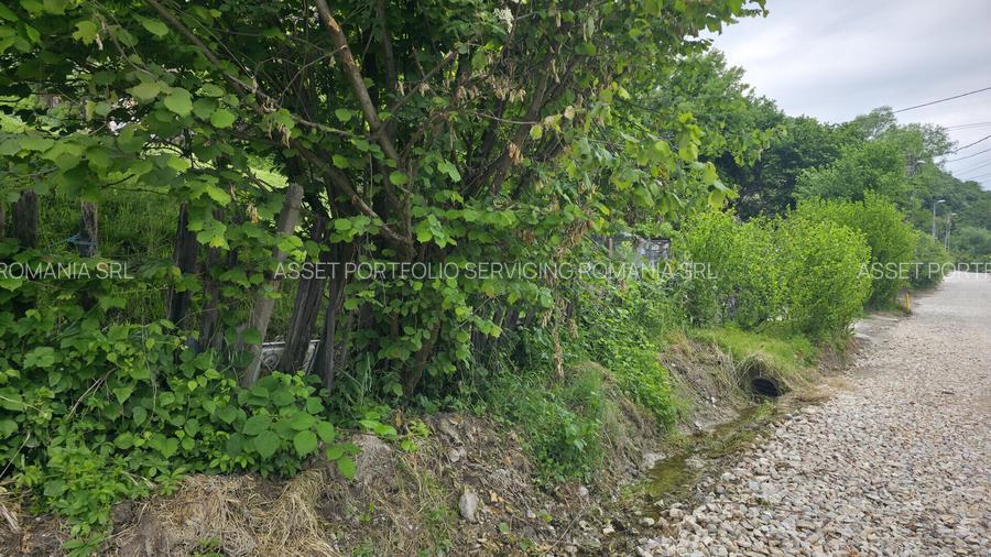 Teren intravilan 3.837 mp Cartier Bocșa Montană, Str. Izvor, Jud. CS - 2