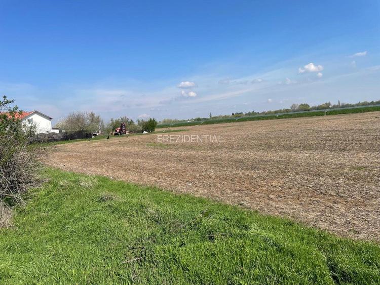 Teren Aeroport Clinceni - 7