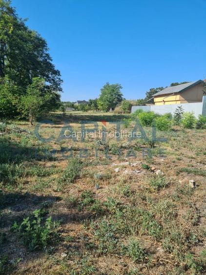 Teren Intravilan 6017 mp pentru Constructii Case Individuale, Duplexuri, Blocuri - 2