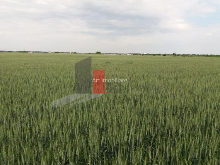 Teren Buftea cu iesire la lac - 8