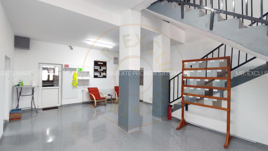 Inchiriere Spatii de Birouri/Productie - Str. Uzinei - Carei - Comision 0%  - 7