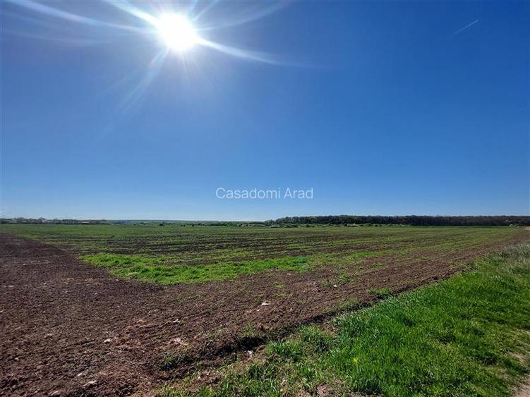 Teren pentru dezvoltare rezidentiala langa padure, in Pischia - 3